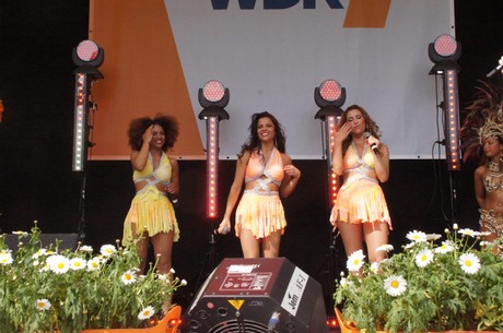 wdr4