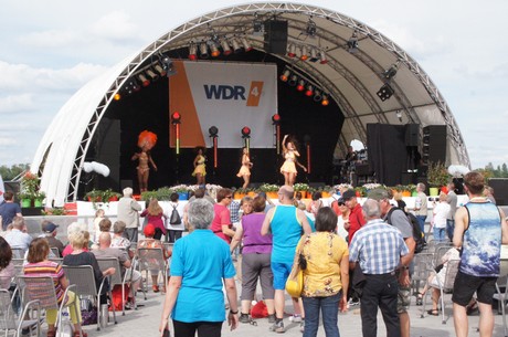 wdr4