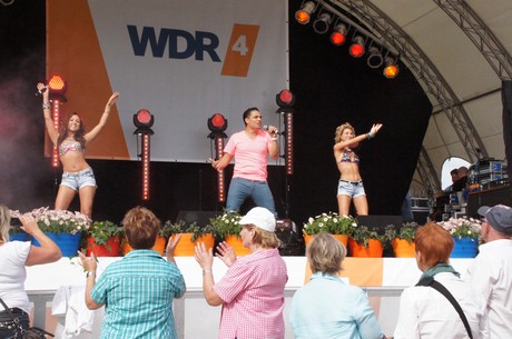 wdr4