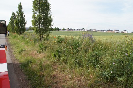 wdr4