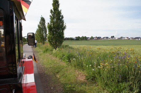 wdr4