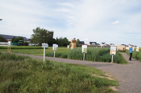 wdr4