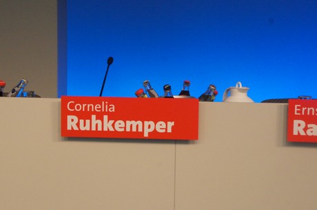 landesparteitag