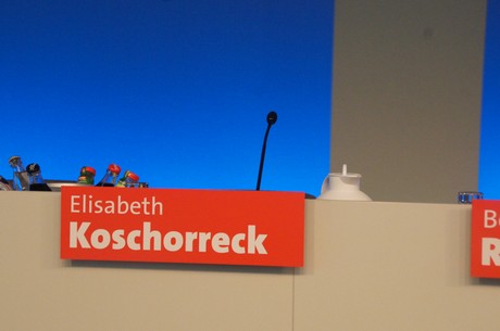 landesparteitag