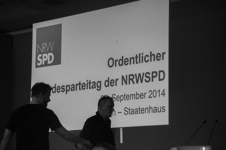 landesparteitag