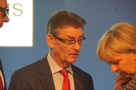 landesparteitag