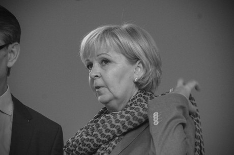 landesparteitag