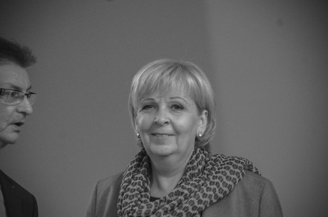 landesparteitag