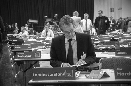 landesparteitag