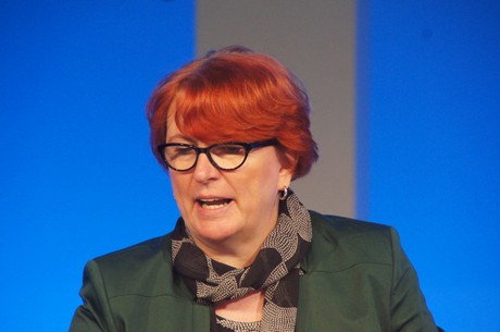 landesparteitag