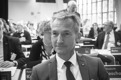 landesparteitag