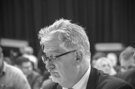 landesparteitag
