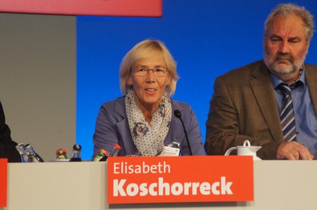 landesparteitag