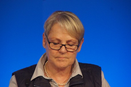 landesparteitag