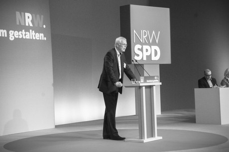 landesparteitag