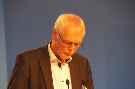 landesparteitag