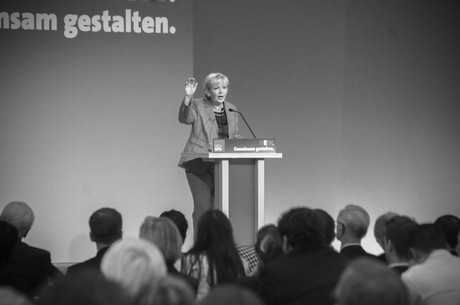 landesparteitag