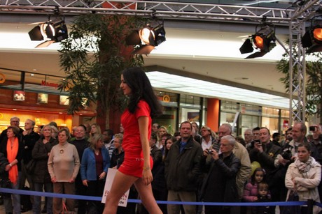 miss-mister-koeln