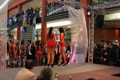 miss-mister-koeln