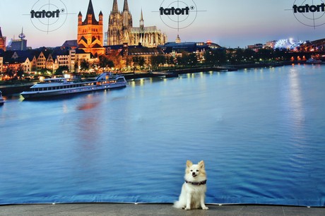 tatort
