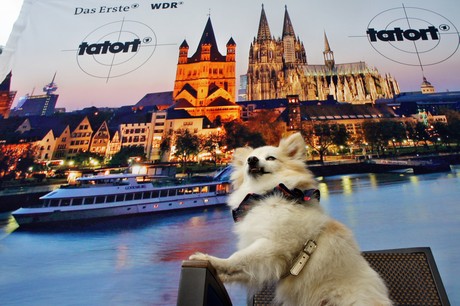 tatort