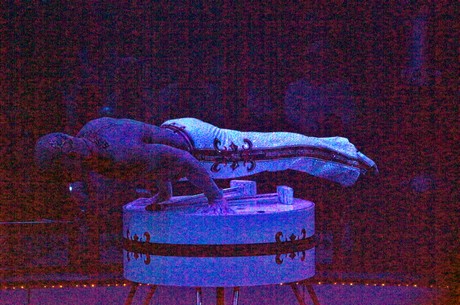 premiere-cirkus-roncalli
