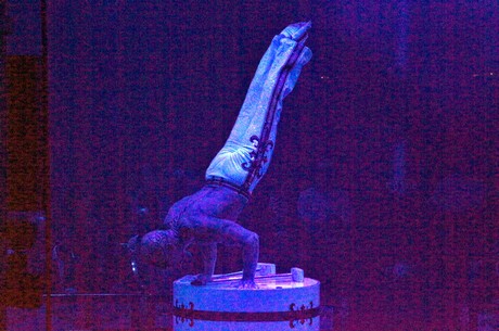 premiere-cirkus-roncalli