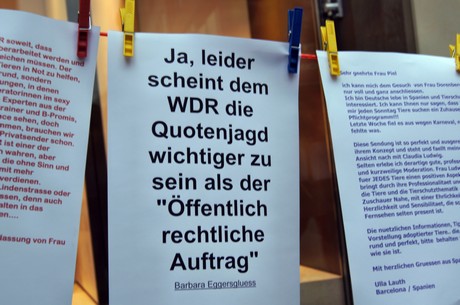 protestaktion-auf-dem-wallrafplatz