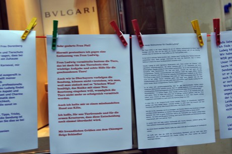 protestaktion-auf-dem-wallrafplatz
