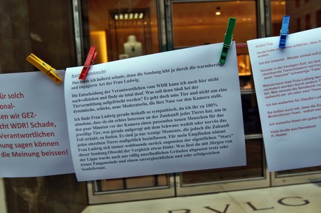 protestaktion-auf-dem-wallrafplatz