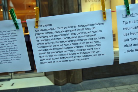 protestaktion-auf-dem-wallrafplatz