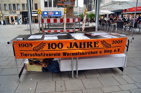 protestaktion-auf-dem-wallrafplatz