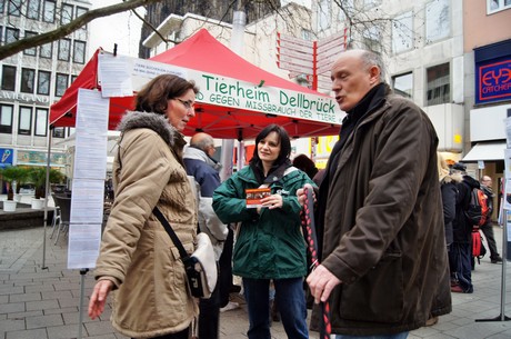 protestaktion-auf-dem-wallrafplatz