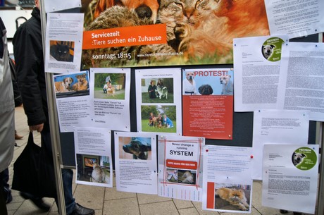 protestaktion-auf-dem-wallrafplatz