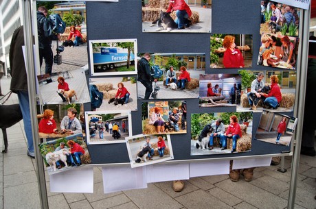 protestaktion-auf-dem-wallrafplatz