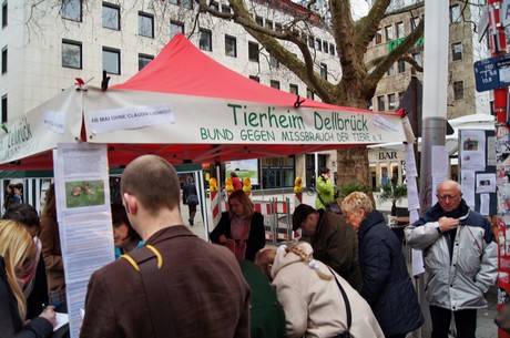 protestaktion-auf-dem-wallrafplatz