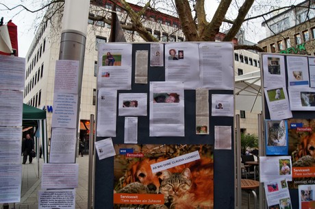 protestaktion-auf-dem-wallrafplatz