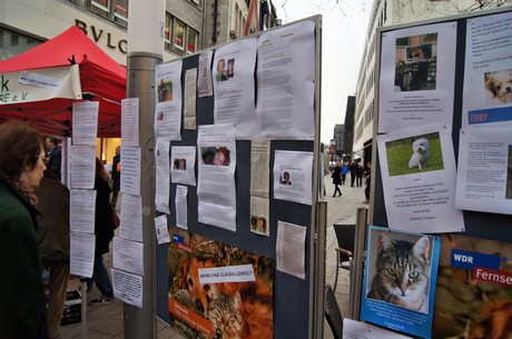 protestaktion-auf-dem-wallrafplatz
