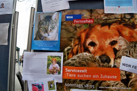 protestaktion-auf-dem-wallrafplatz
