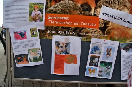 protestaktion-auf-dem-wallrafplatz