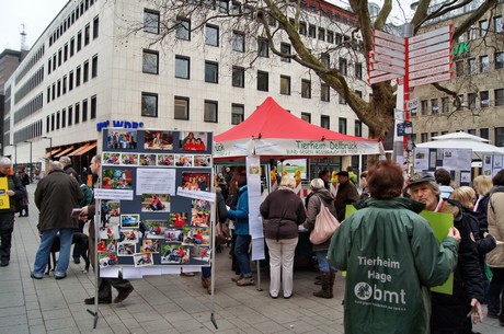 protestaktion-auf-dem-wallrafplatz