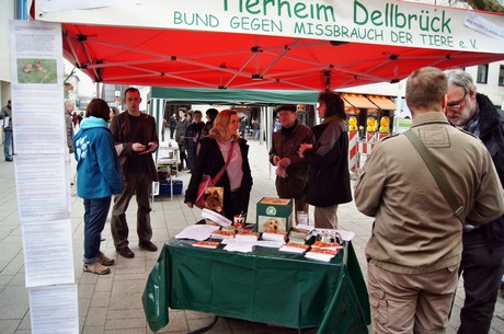 protestaktion-auf-dem-wallrafplatz