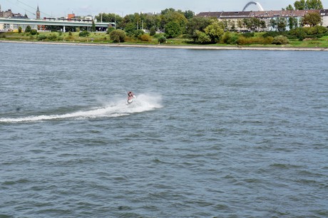 rheinlesen