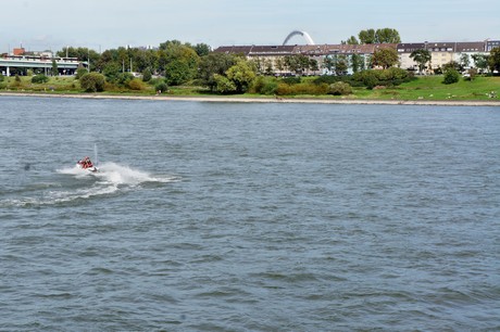 rheinlesen