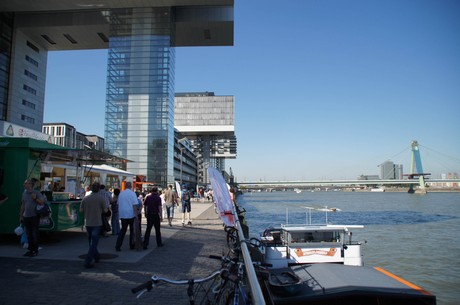 rheinlesen