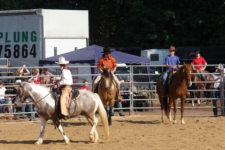 rodeo