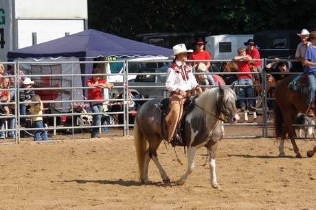 rodeo