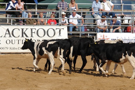 rodeo