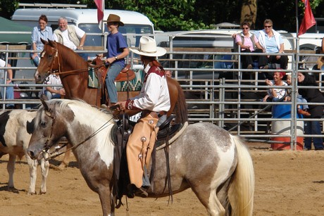 rodeo