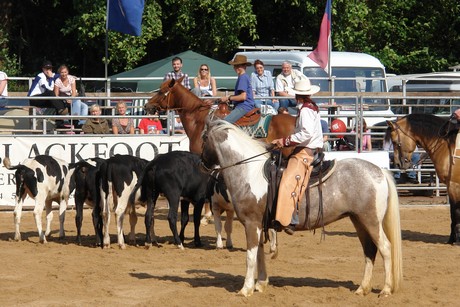 rodeo